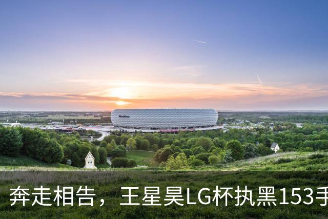 奔走相告，王星昊LG杯执黑153手大胜申真谞，兑现举办方的大失误