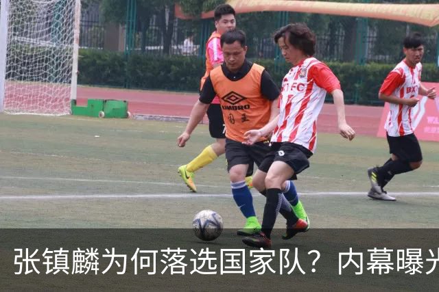 张镇麟为何落选国家队？内幕曝光，叫人心疼，郭士强并没放弃他